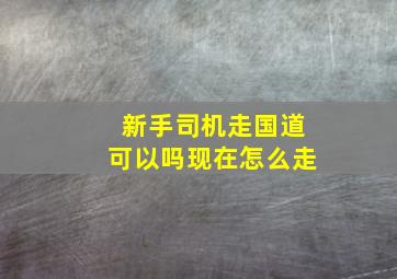 新手司机走国道可以吗现在怎么走