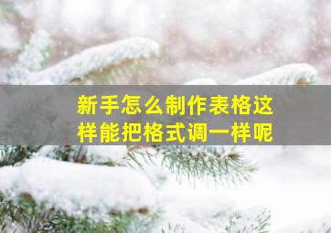 新手怎么制作表格这样能把格式调一样呢