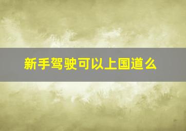 新手驾驶可以上国道么