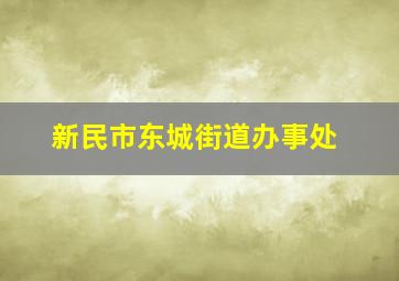 新民市东城街道办事处