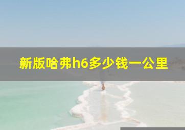 新版哈弗h6多少钱一公里