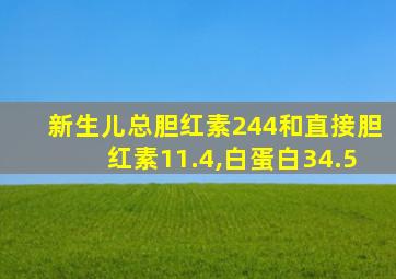 新生儿总胆红素244和直接胆红素11.4,白蛋白34.5