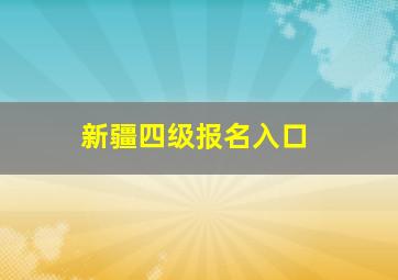 新疆四级报名入口