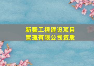 新疆工程建设项目管理有限公司资质