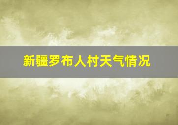 新疆罗布人村天气情况