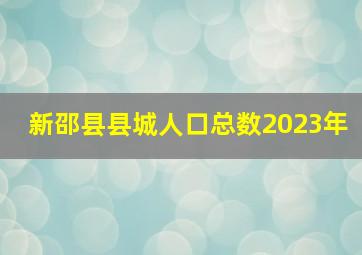 新邵县县城人口总数2023年