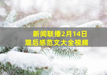 新闻联播2月14日观后感范文大全视频