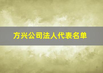 方兴公司法人代表名单