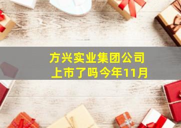 方兴实业集团公司上市了吗今年11月