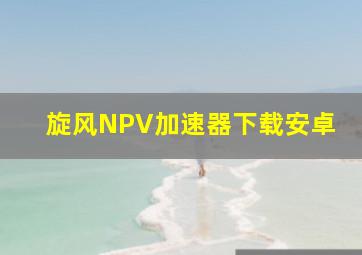 旋风NPV加速器下载安卓