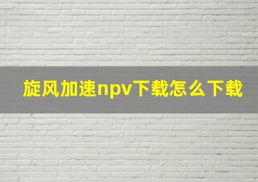 旋风加速npv下载怎么下载