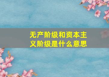 无产阶级和资本主义阶级是什么意思