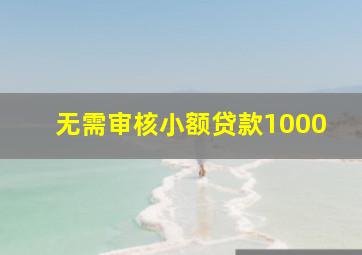 无需审核小额贷款1000