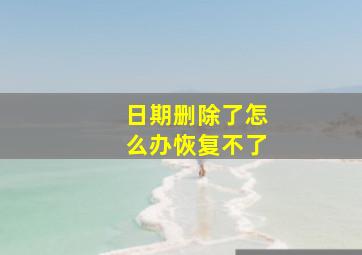 日期删除了怎么办恢复不了