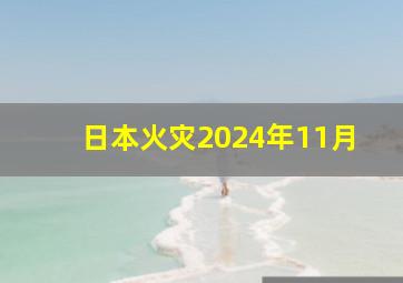 日本火灾2024年11月