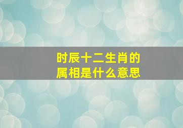 时辰十二生肖的属相是什么意思