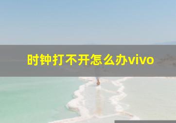 时钟打不开怎么办vivo