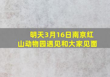 明天3月16日南京红山动物园遇见和大家见面