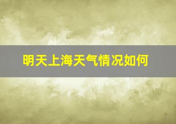 明天上海天气情况如何