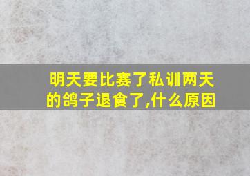 明天要比赛了私训两天的鸽子退食了,什么原因