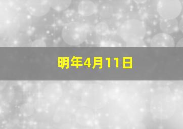 明年4月11日