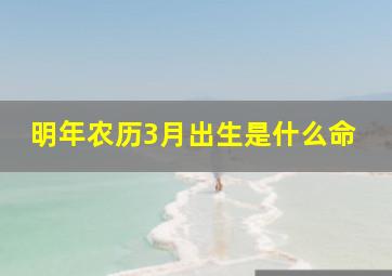 明年农历3月出生是什么命