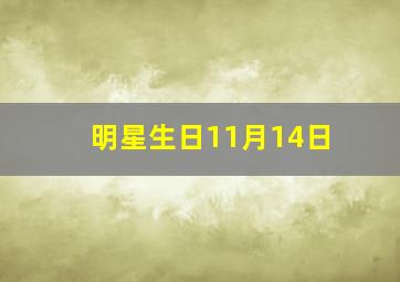 明星生日11月14日