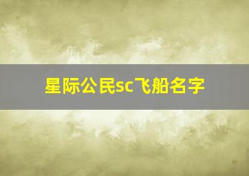 星际公民sc飞船名字