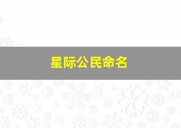 星际公民命名