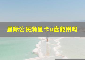 星际公民消星卡u盘能用吗