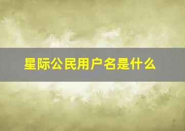 星际公民用户名是什么