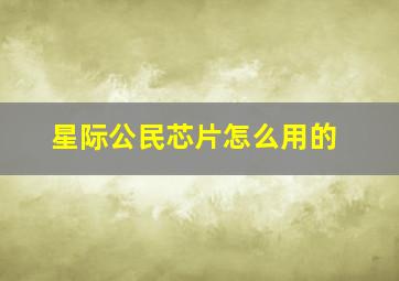 星际公民芯片怎么用的