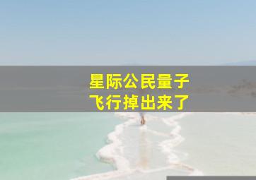 星际公民量子飞行掉出来了