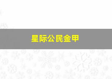 星际公民金甲