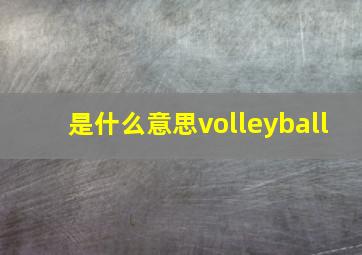 是什么意思volleyball