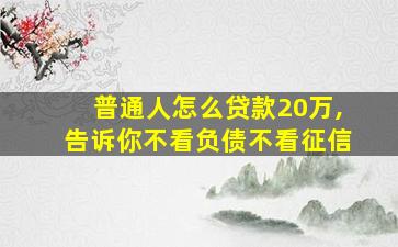 普通人怎么贷款20万,告诉你不看负债不看征信