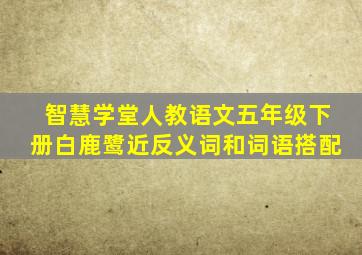 智慧学堂人教语文五年级下册白鹿鹭近反义词和词语搭配