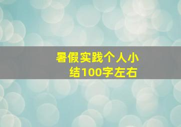 暑假实践个人小结100字左右