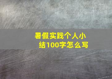 暑假实践个人小结100字怎么写