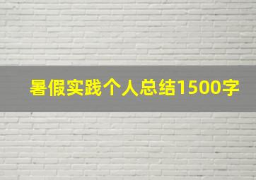 暑假实践个人总结1500字