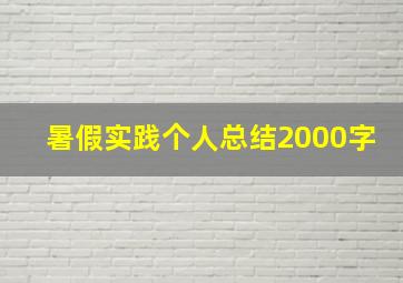 暑假实践个人总结2000字