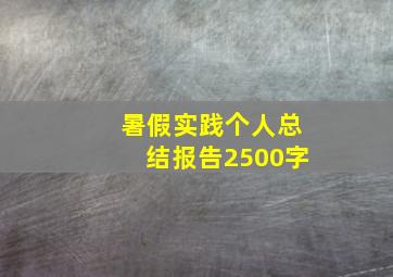 暑假实践个人总结报告2500字