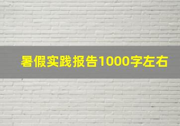 暑假实践报告1000字左右