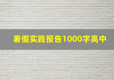 暑假实践报告1000字高中