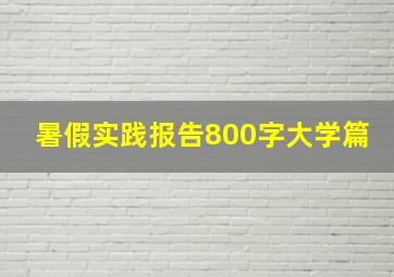 暑假实践报告800字大学篇