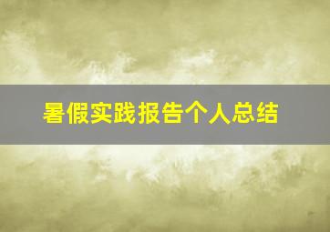 暑假实践报告个人总结