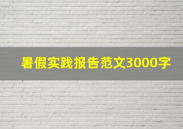 暑假实践报告范文3000字