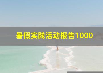 暑假实践活动报告1000