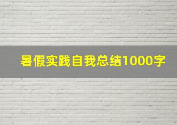 暑假实践自我总结1000字