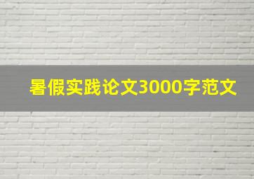 暑假实践论文3000字范文